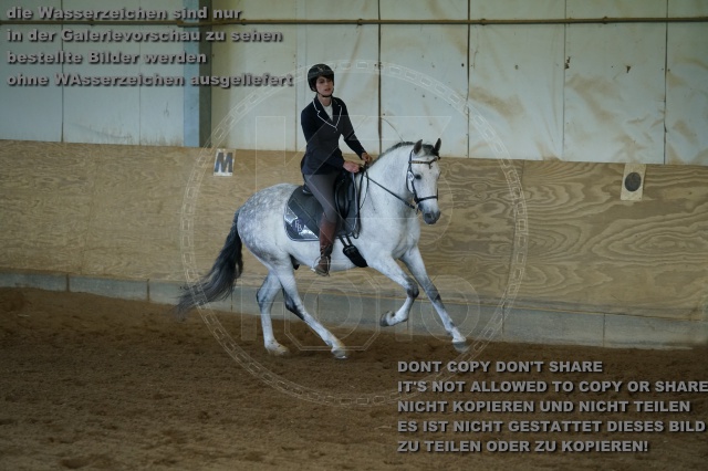 s_K3F03474.JPG